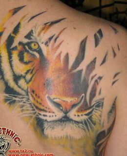 Алексей Иванов